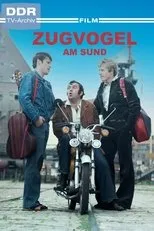 Póster de Zugvogel am Sund