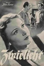 Póster de Zwielicht