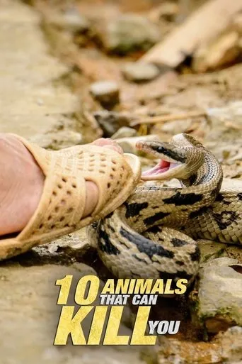 Póster de 10 Animals That Will Kill You