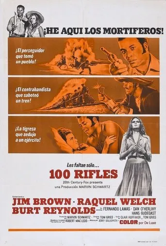 Póster de 100 Rifles