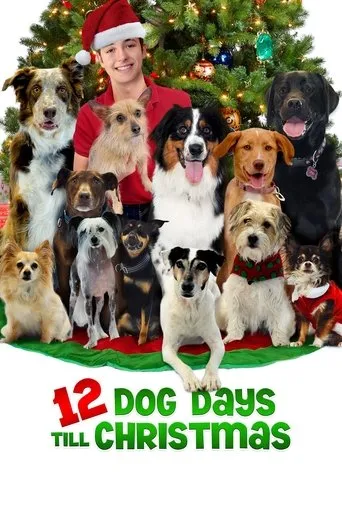 Póster de 12 días para Navidad