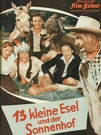 Póster de 13 kleine Esel und der Sonnenhof