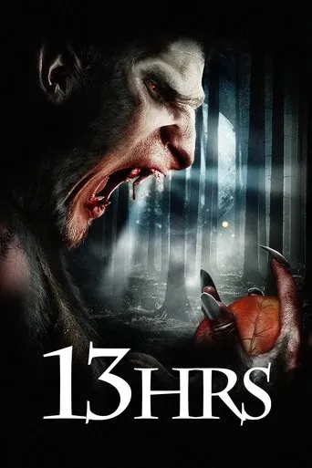 Póster de 13Hrs