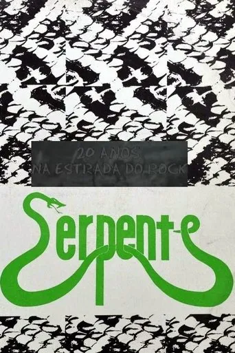 Póster de 20 Anos na Estrada do Rock