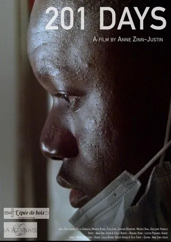 Póster de 201 Jours