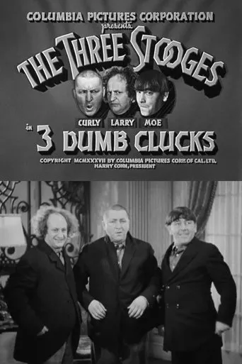 Póster de 3 Dumb Clucks