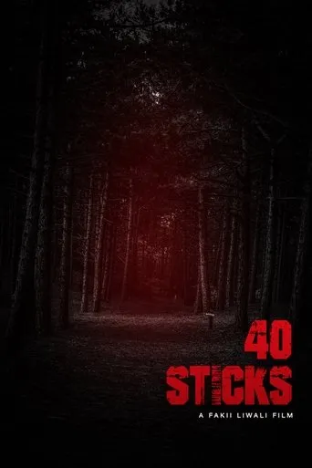 Póster de 40 Sticks