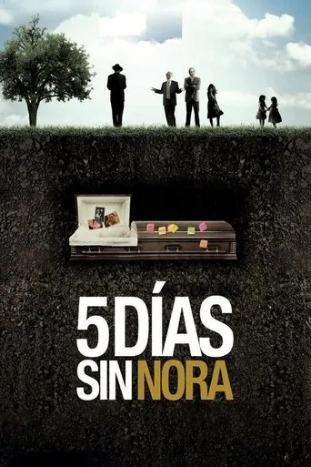 Póster de 5 días sin Nora