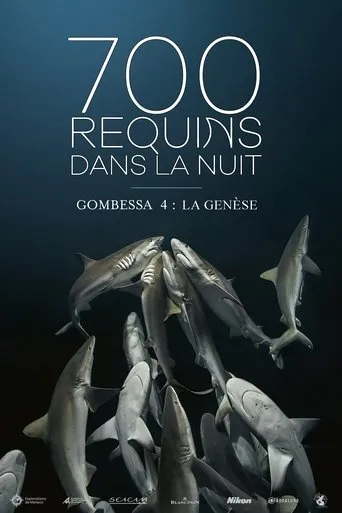 Póster de 700 requins dans la nuit  (Gombessa 4, la genèse)