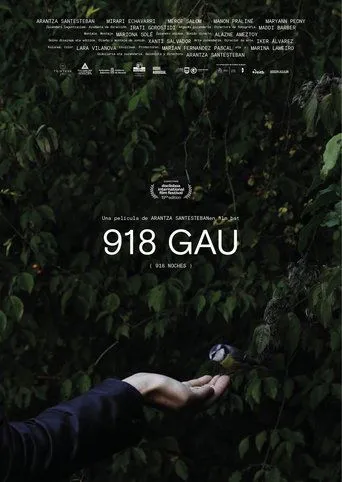 Póster de 918 noches