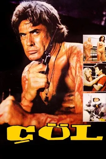 Póster de Çöl