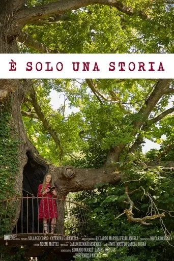 Póster de È solo una storia
