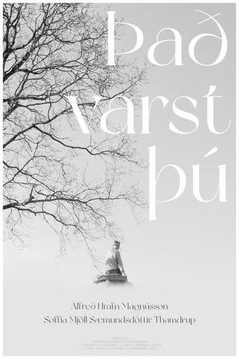 Póster de Það varst þú
