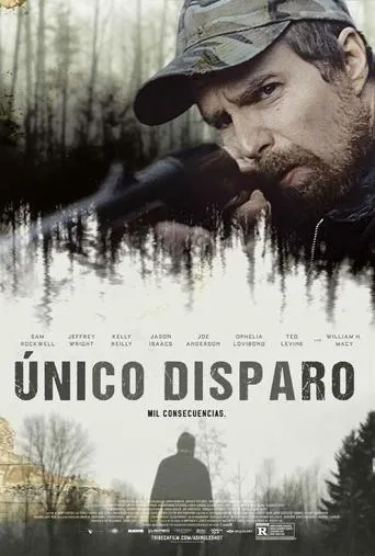 Póster de Único disparo