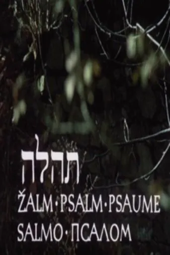 Póster de Žalm