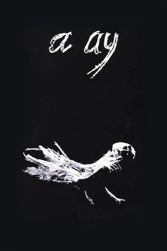 Póster de A Ay