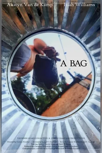 Póster de A Bag
