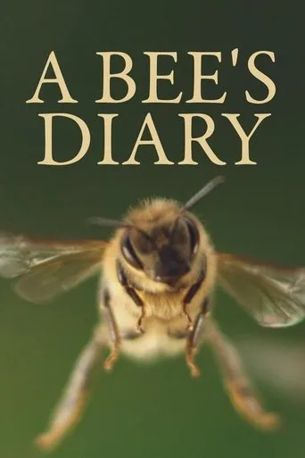Póster de A Bee's Diary