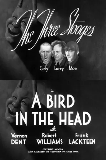 Póster de A Bird in the Head