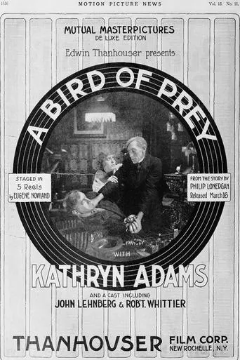 Póster de A Bird of Prey