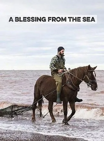 Póster de A Blessing from the Sea