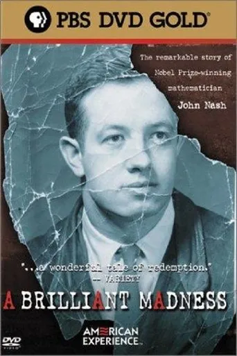 Póster de A Brilliant Madness