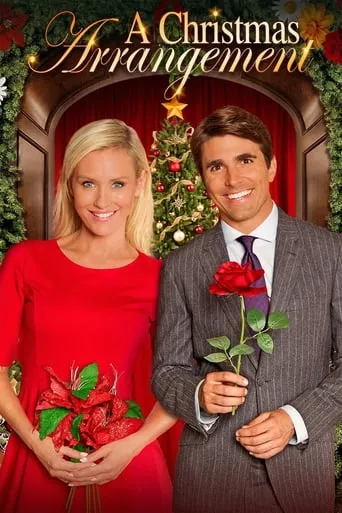 Póster de A Christmas Arrangement