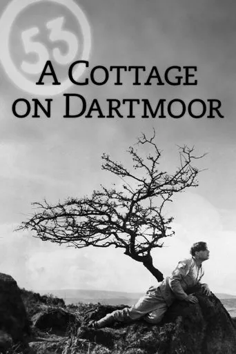 Póster de A Cottage on Dartmoor