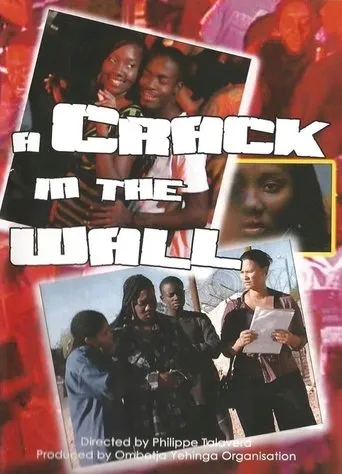 Póster de A Crack in the Wall