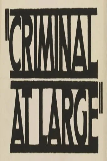 Póster de A Criminal at Large