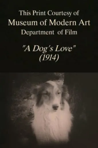 Póster de A Dog's Love