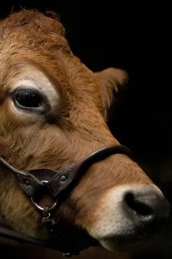 Póster de A Feeling of Home: The Making of First Cow