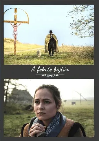 Póster de A fekete bojtár