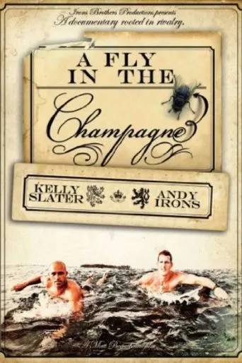 Póster de A Fly in the Champagne