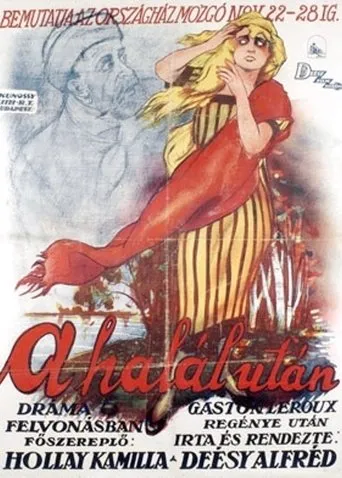 Póster de A halál után