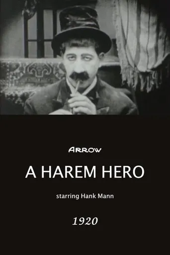 Póster de A Harem Hero