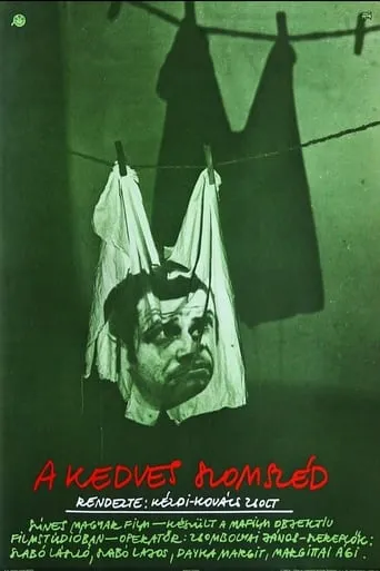 Póster de A kedves szomszéd