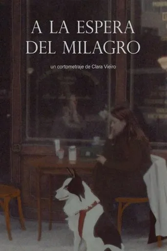 Póster de A la espera del milagro