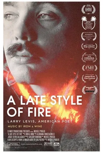 Póster de A Late Style of Fire