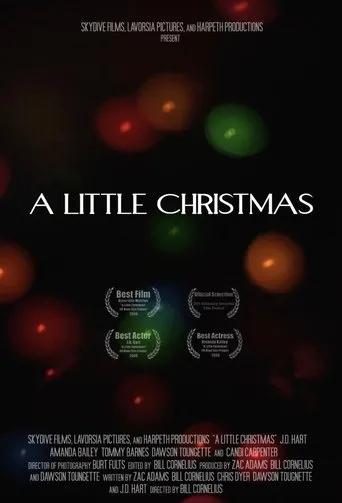 Póster de A Little Christmas