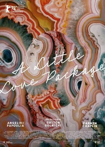 Póster de A Little Love Package