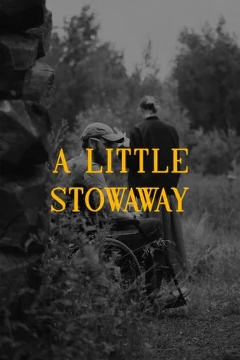 Póster de A Little Stowaway