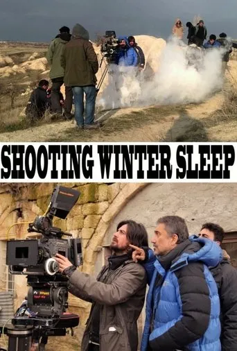 Póster de A Long Cold Winter