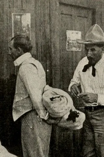Póster de A Montana Mix-Up