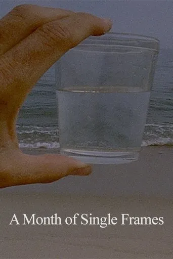 Póster de A Month of Single Frames