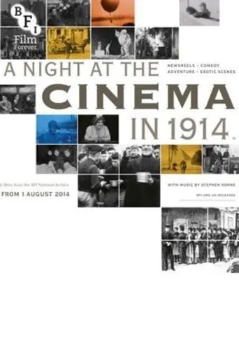 Póster de A Night at the Cinema in 1914