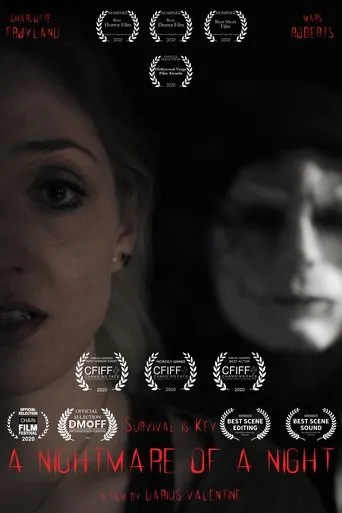Póster de A Nightmare of a Night