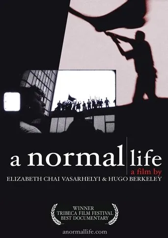 Póster de A Normal Life