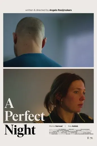 Póster de A Perfect Night