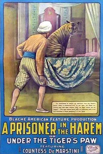 Póster de A Prisoner in the Harem